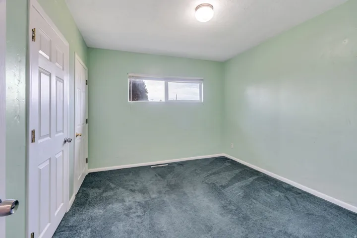 Two closets with white doors, a single window, and a flush mount ceiling light fixture