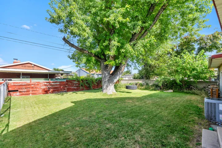 Expansive backyard featuring a mature shade tree and manicured lawn