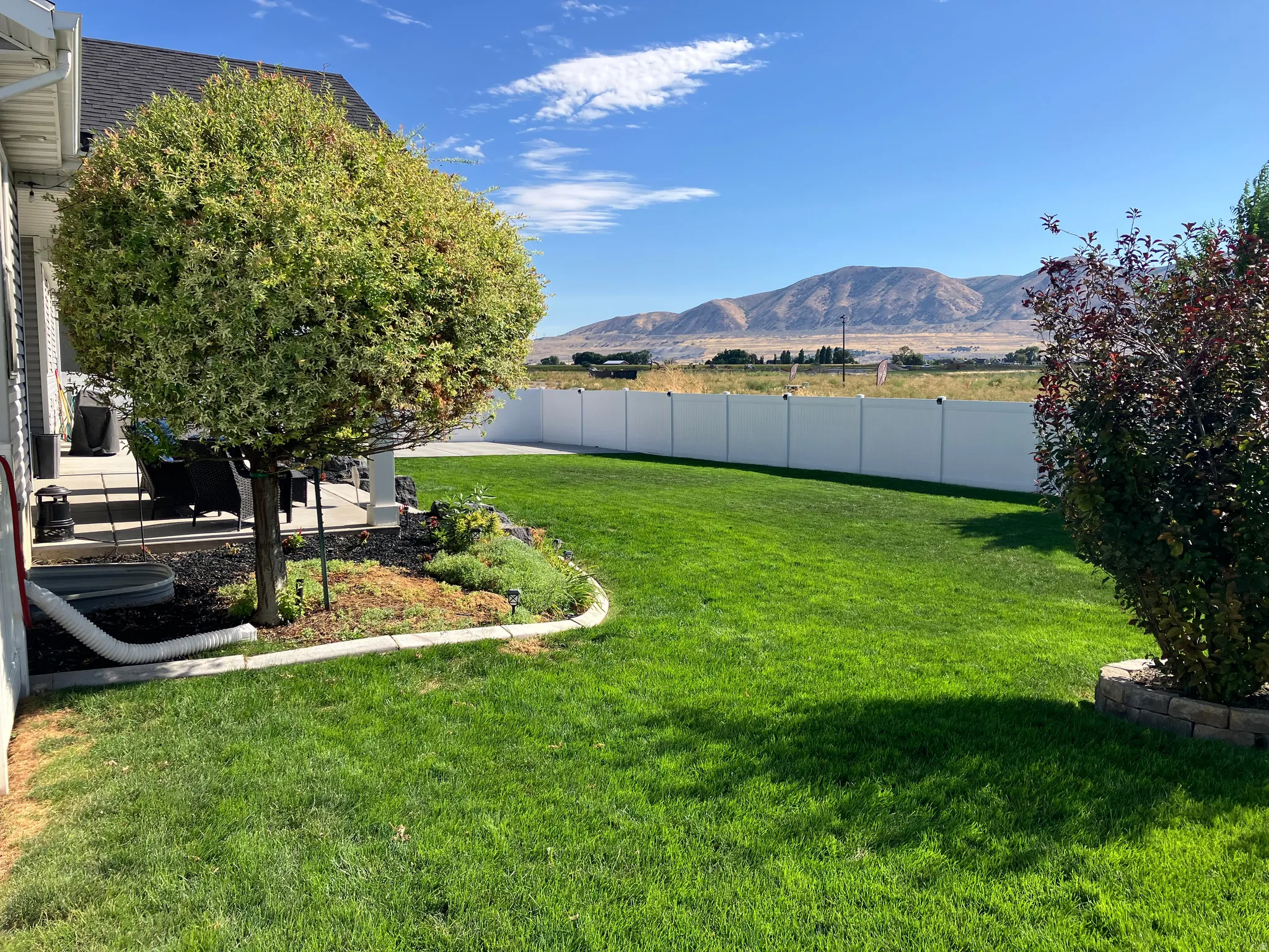 Expansive green lawn with a white vinyl privacy fence, established trees, and a concrete patio
