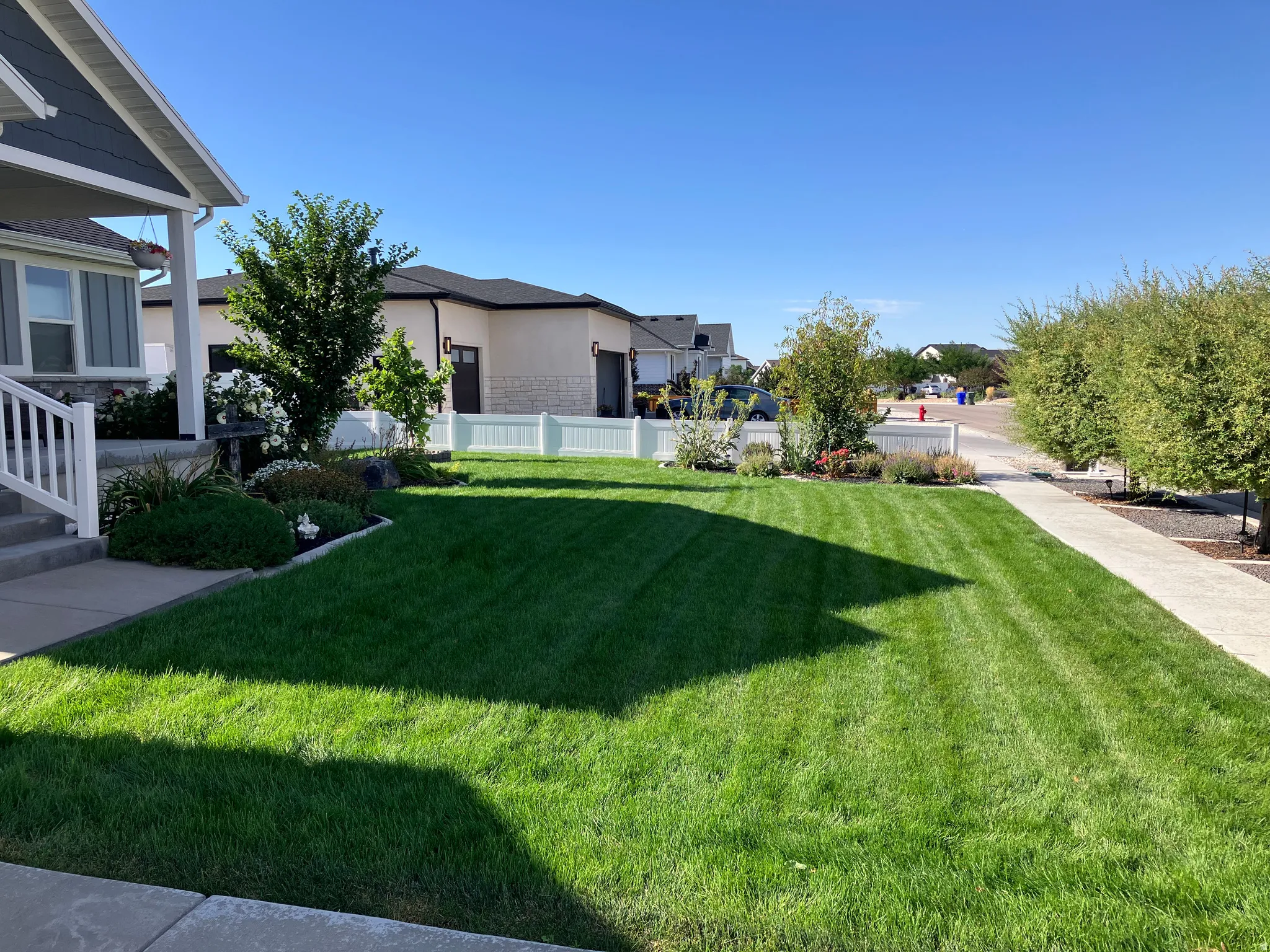 Manicured lawn with a paved walkway and established landscaping