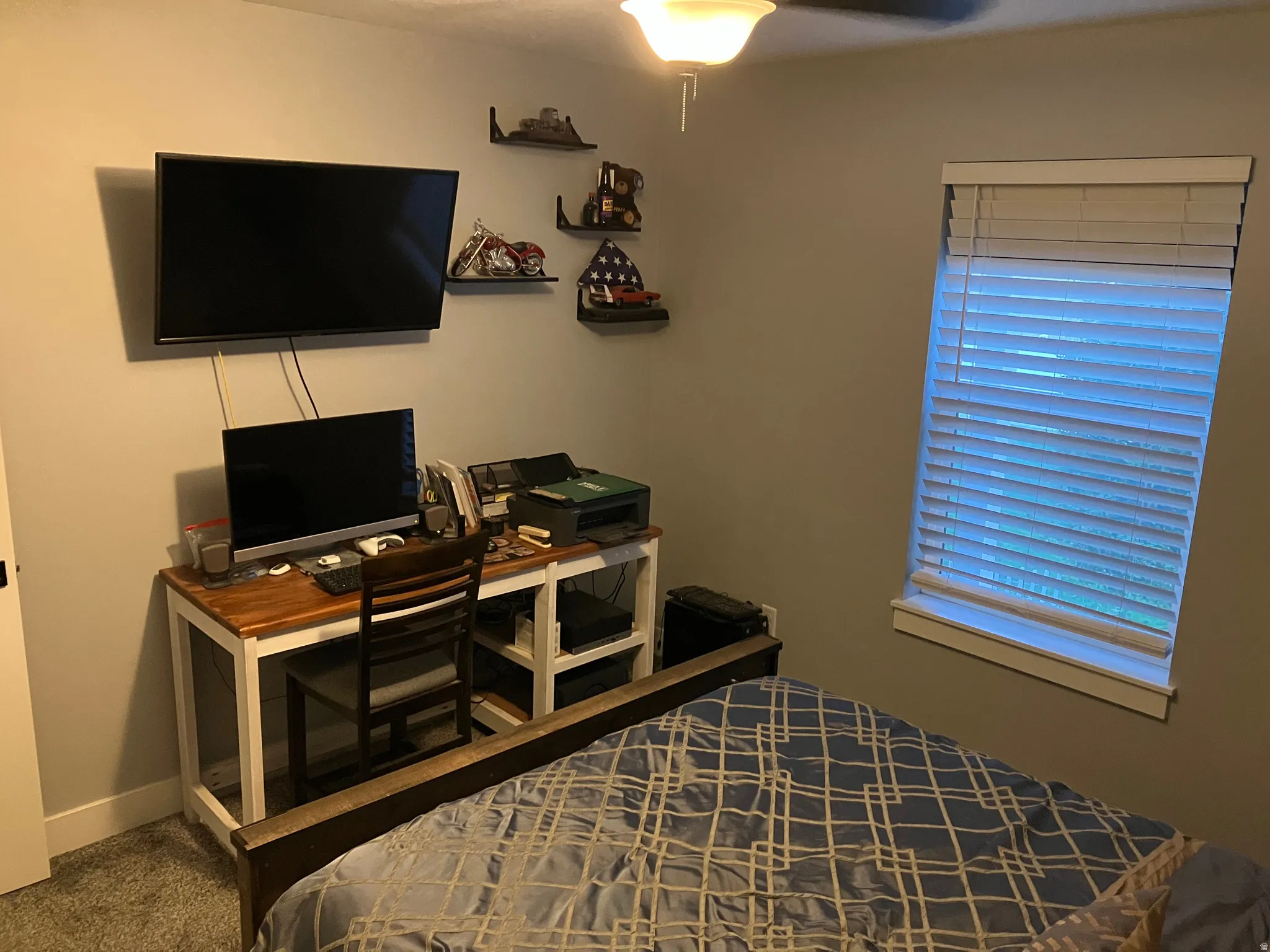 Textured carpet flooring, neutral wall paint, ceiling-mounted light fixture, window with blinds, and built-in wall shelving