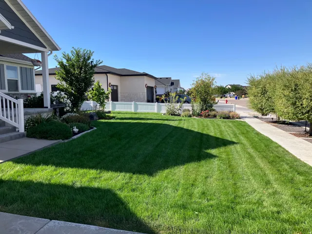 Manicured lawn with a paved walkway and established landscaping