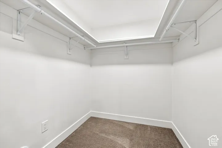 White painted walls with wall-mounted clothing rods and carpet flooring