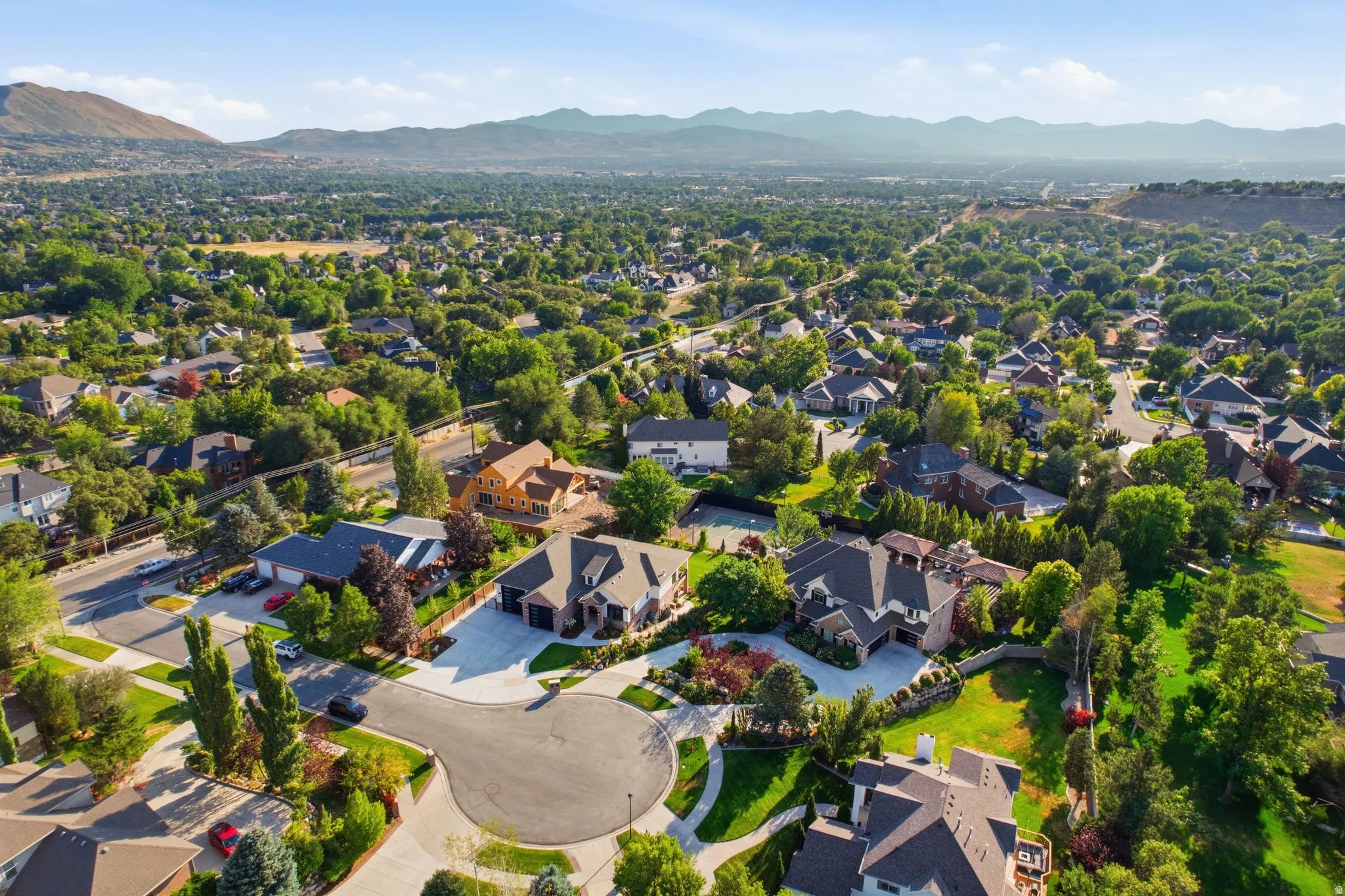Lush, tree-lined suburban landscape with diverse architectural styles