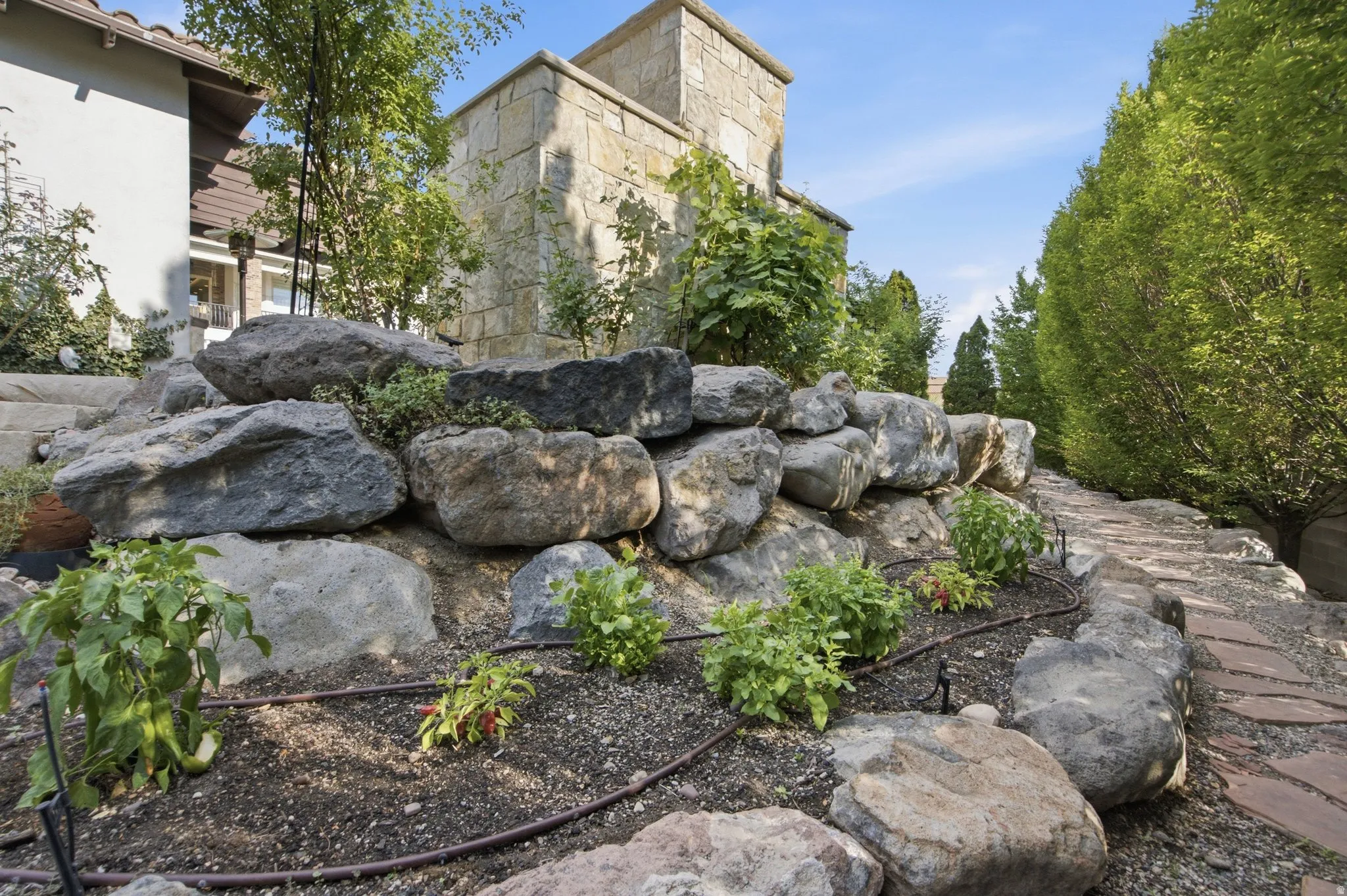 Tiered landscaping with natural stone boulders, integrated irrigation, mature evergreen trees, and a stone-paved pathway