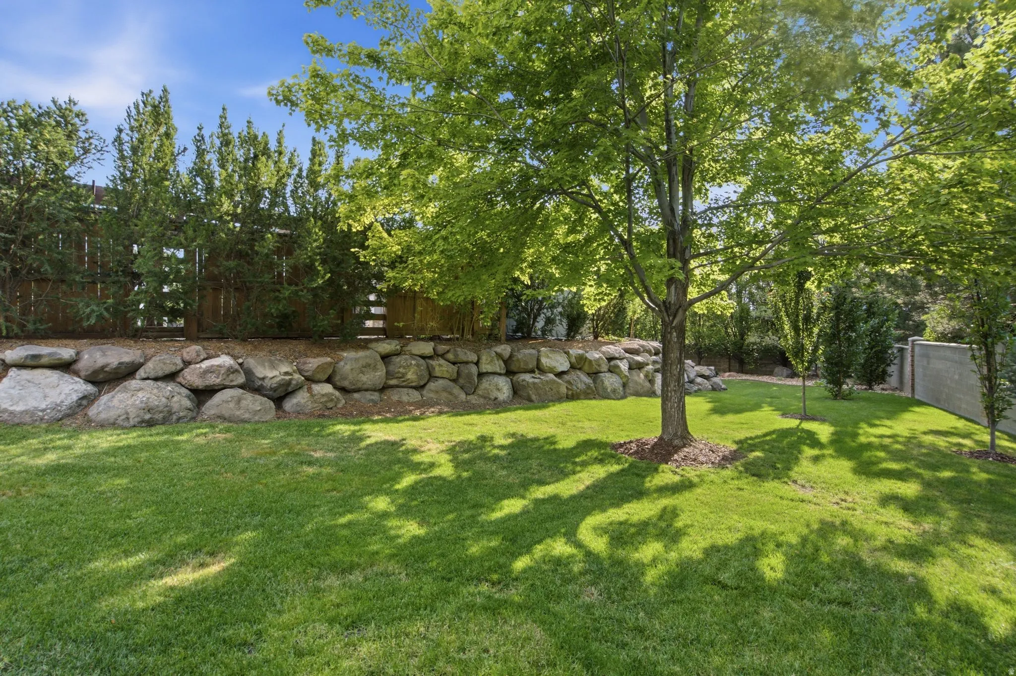 Expansive lawn with a mature tree, bordered by a stone retaining wall and privacy fencing