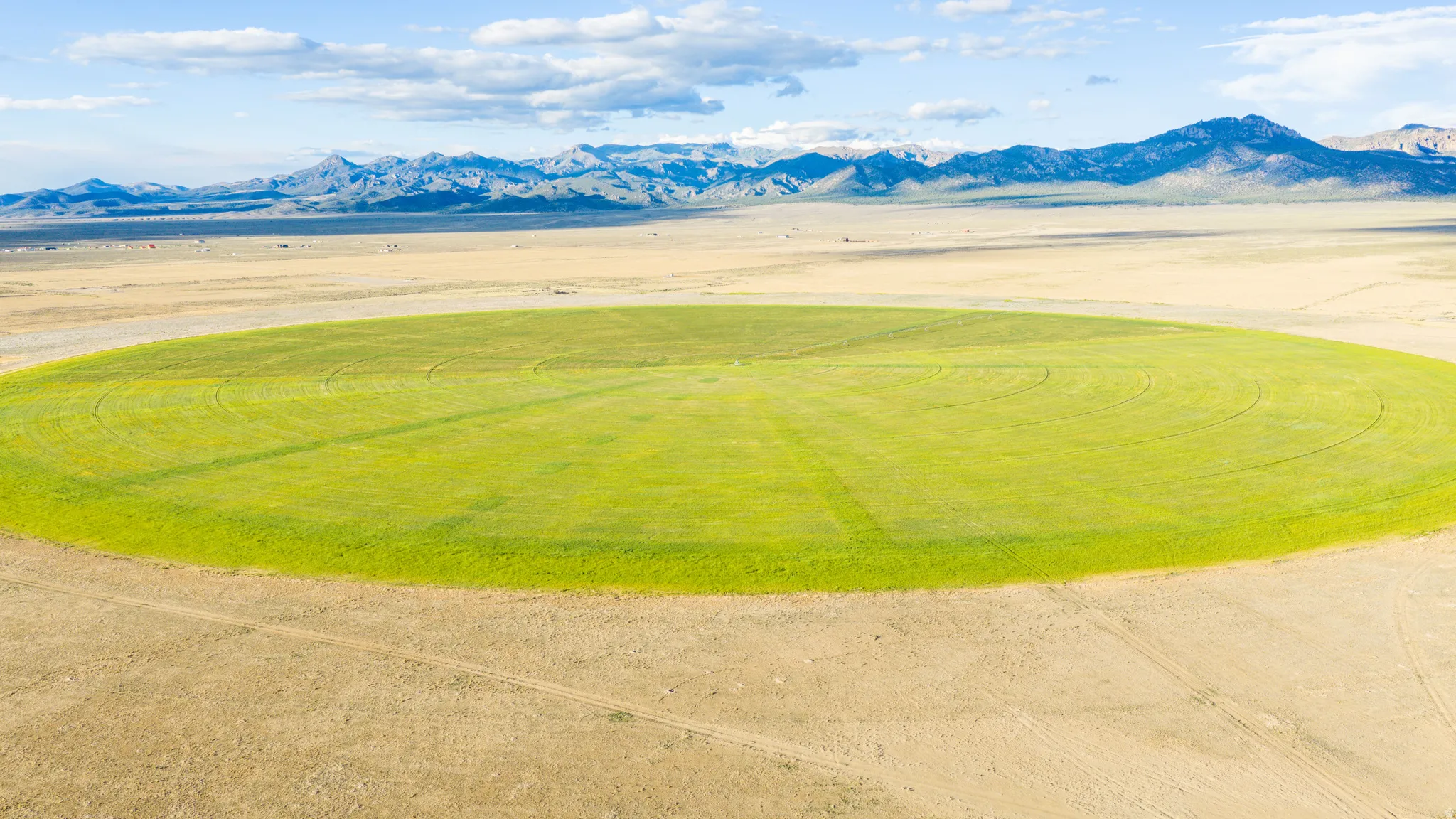 Expansive circular agricultural field with green crops, surrounded by arid terrain, set against a backdrop of distant mountains