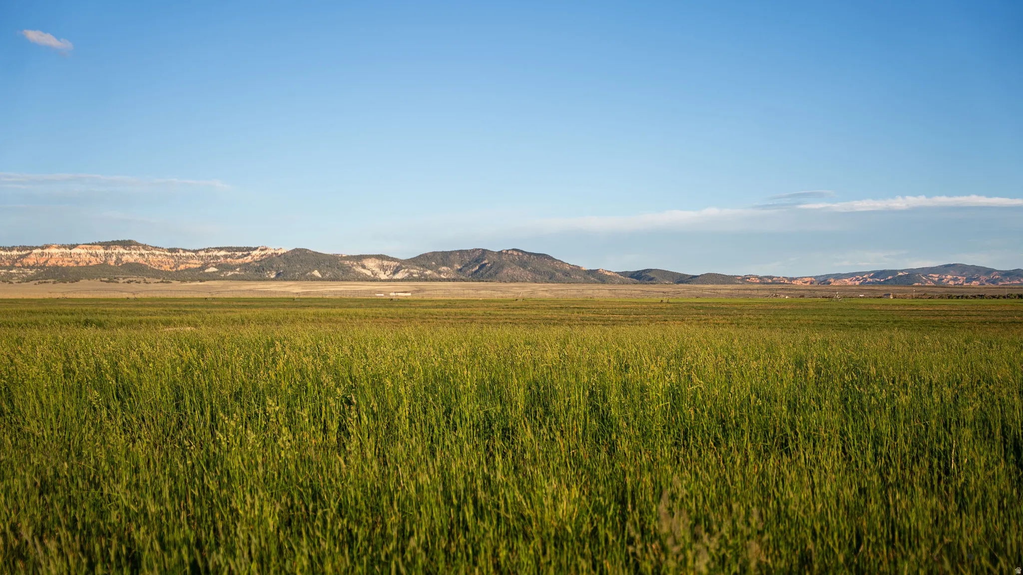 Expansive green field with distant mountain range