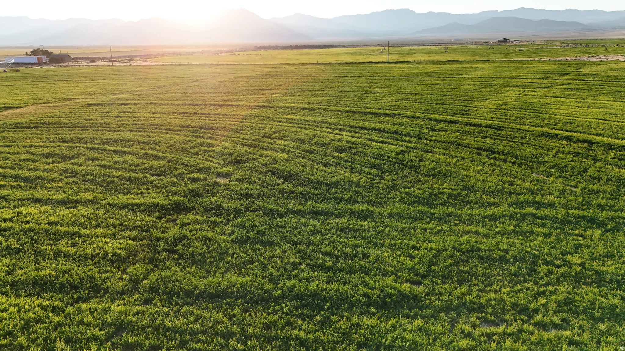 Expansive agricultural field with a mountain backdrop