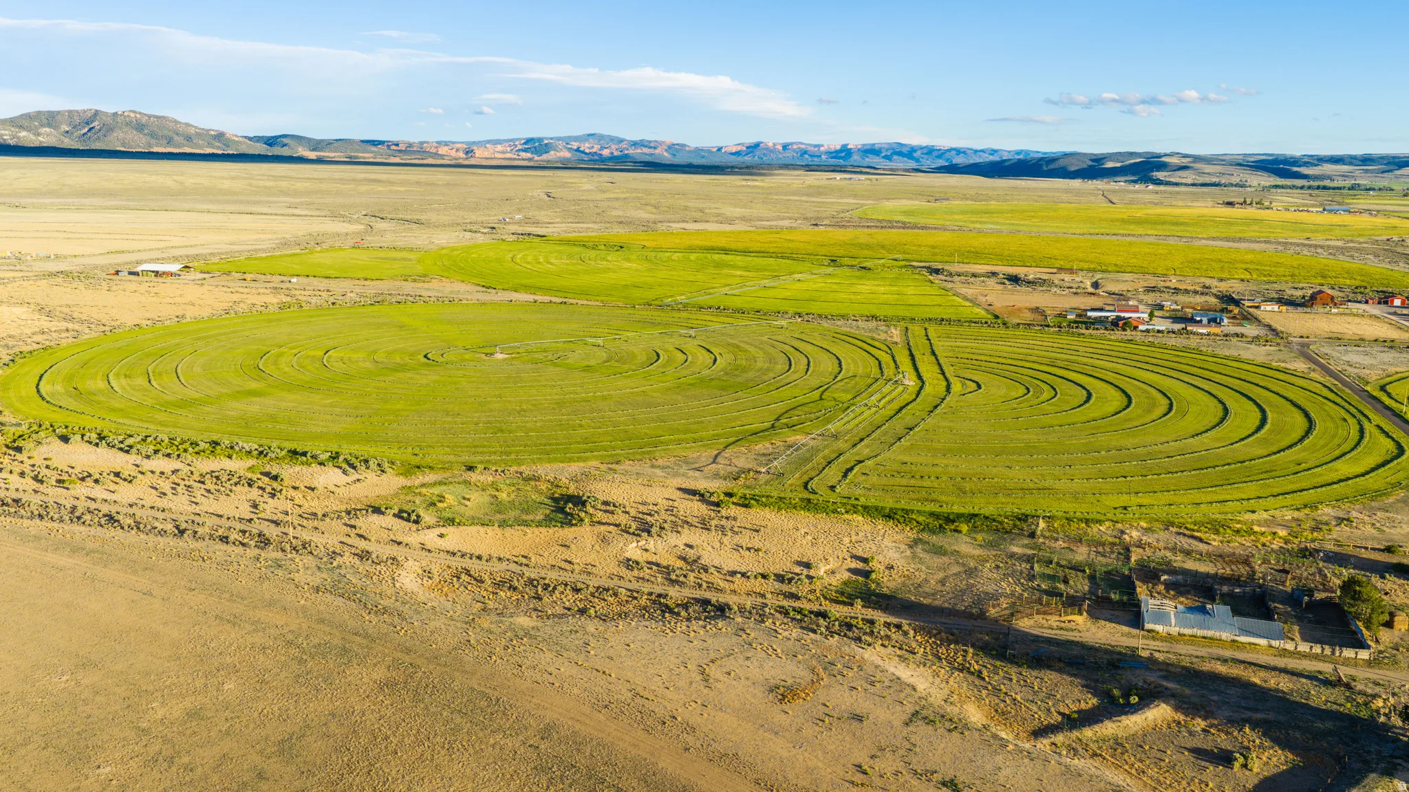 Expansive agricultural land featuring circular crop fields