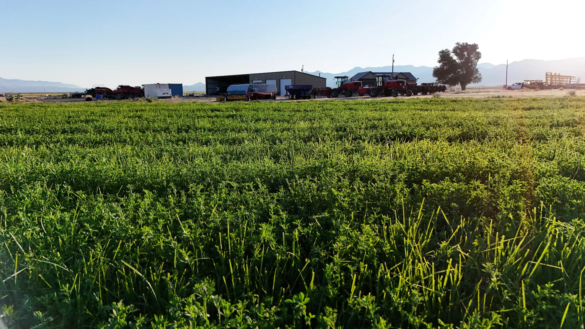Expansive green field with distant mountains