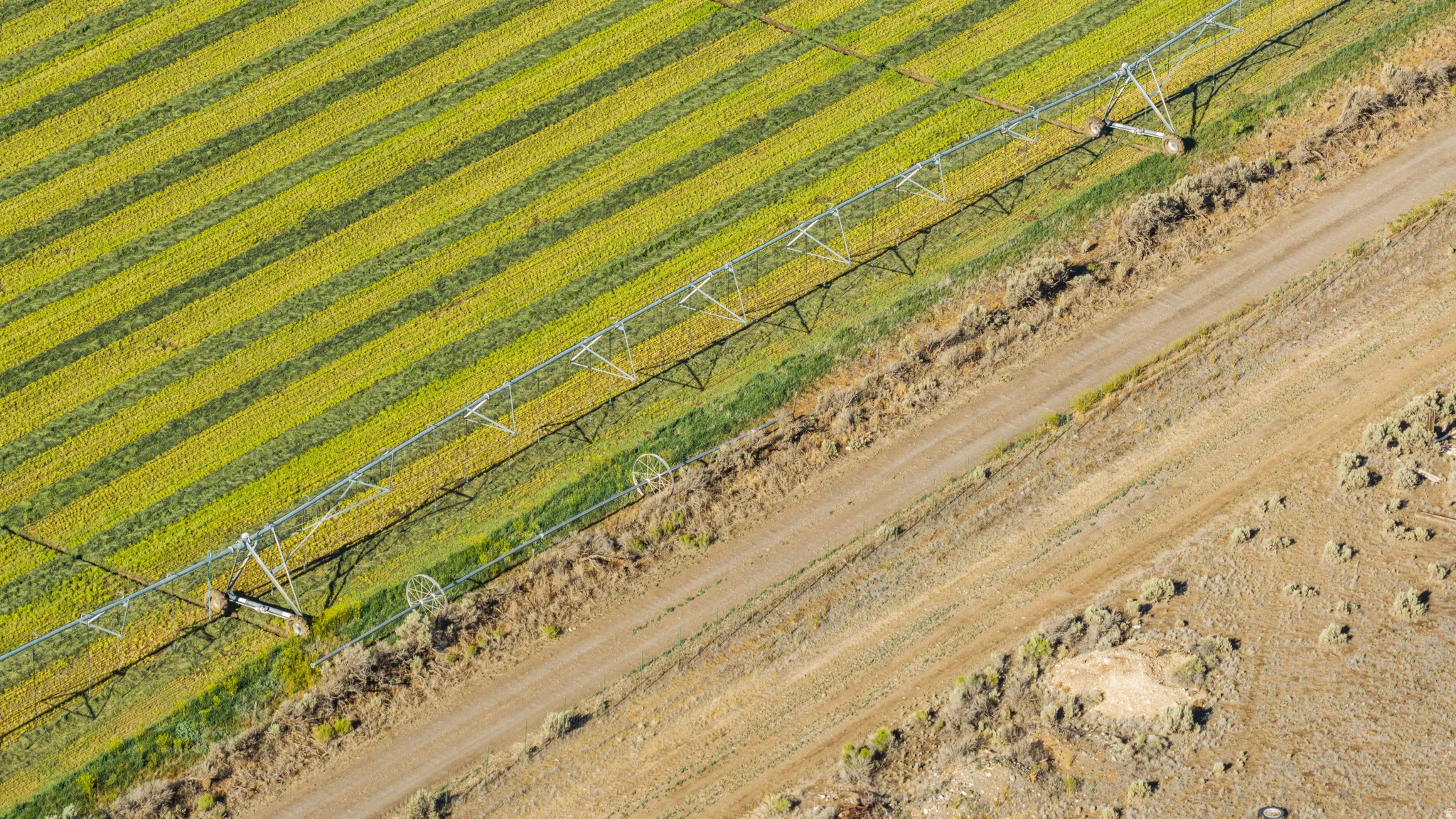 Agricultural land featuring a pivot irrigation system, cultivated fields with striped patterns, and an unpaved access road