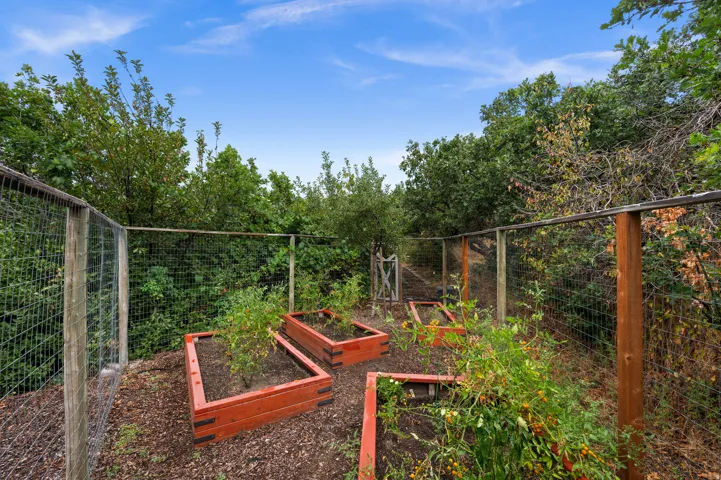 Fenced garden.