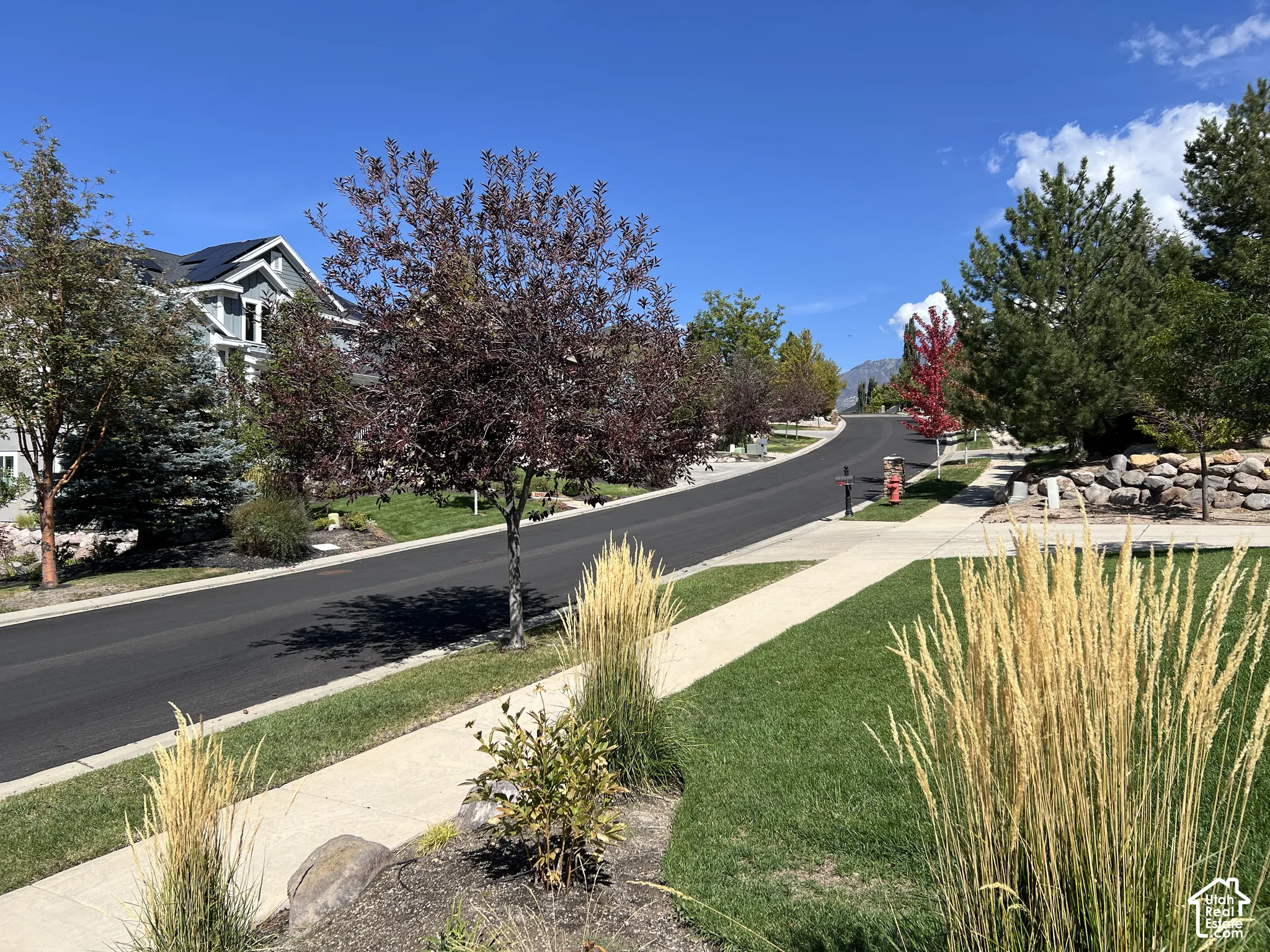 Manicured lawns with mature trees, paved sidewalks, and asphalt street
