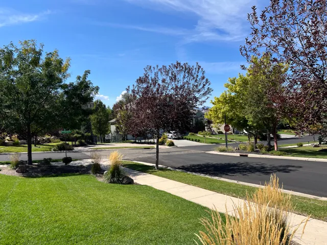 Manicured lawn with mature trees and established landscaping