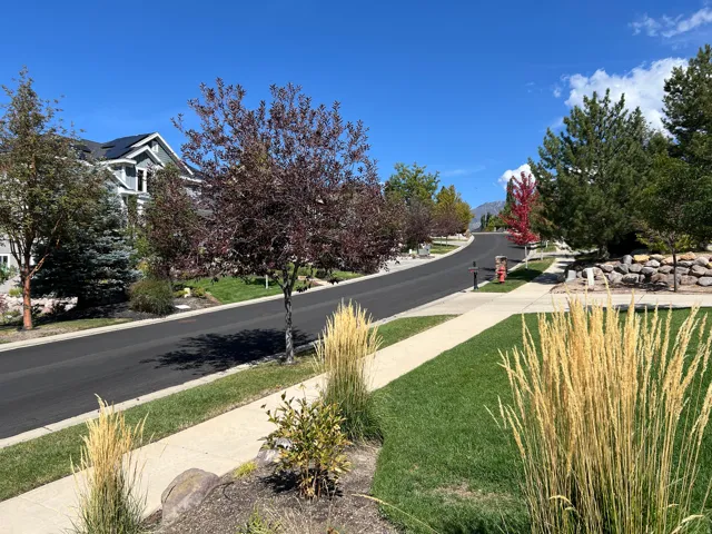 Manicured lawns with mature trees, paved sidewalks, and asphalt street