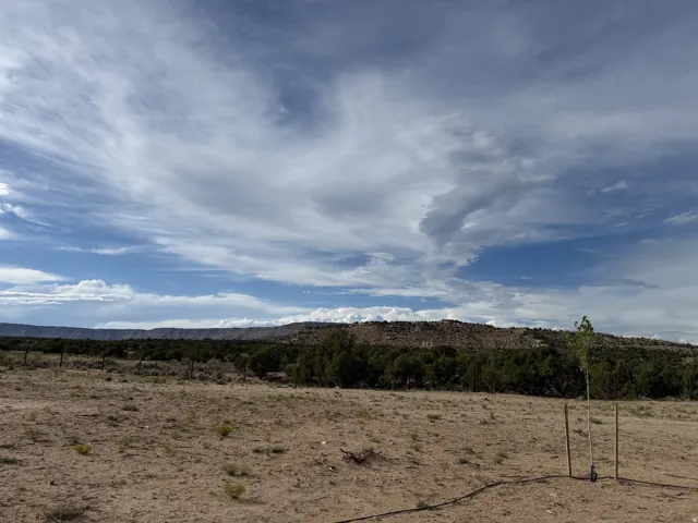 Expansive open land featuring natural vegetation and distant hills