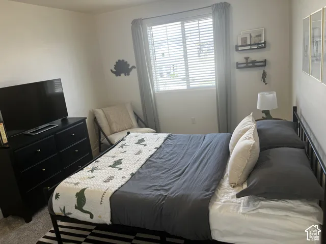 Window with blinds and drapes, wall-mounted shelving, and carpeted flooring