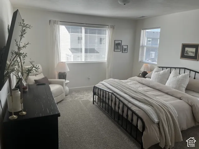 Plush carpet flooring, a large window with blinds, and white walls