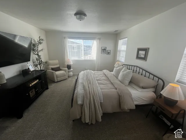 Carpeted flooring, multiple windows with blinds, and recessed lighting
