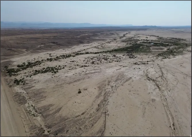 Expansive desert landscape with natural vegetation and distant mountains