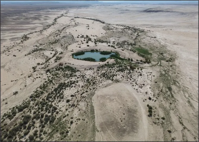 Expansive desert landscape featuring a natural water body with surrounding vegetation