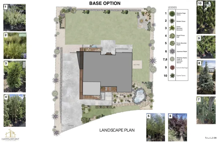 Landscape Plan, Base Option. Illustrating the designated vegetation and site layout for the property