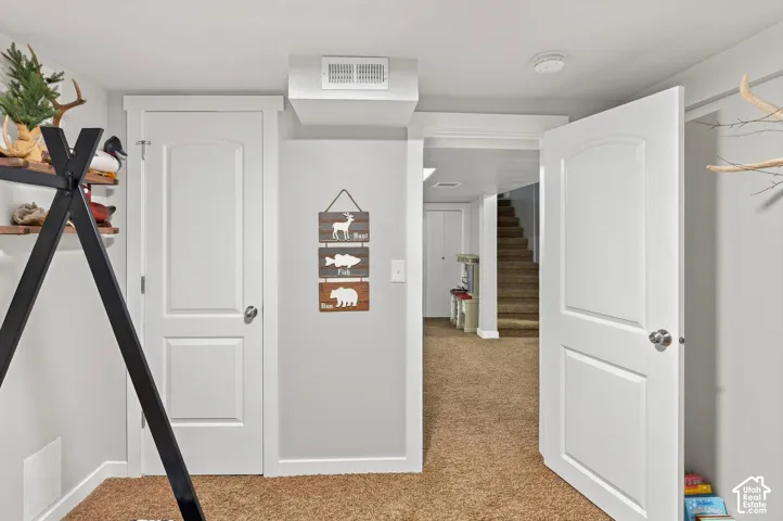 White interior doors, neutral wall paint, and textured carpet flooring