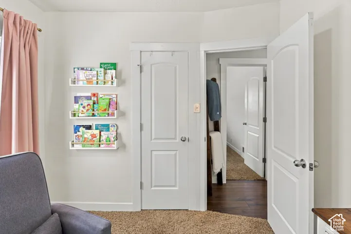 White interior doors with panel detailing, light neutral wall color, and textured carpet flooring