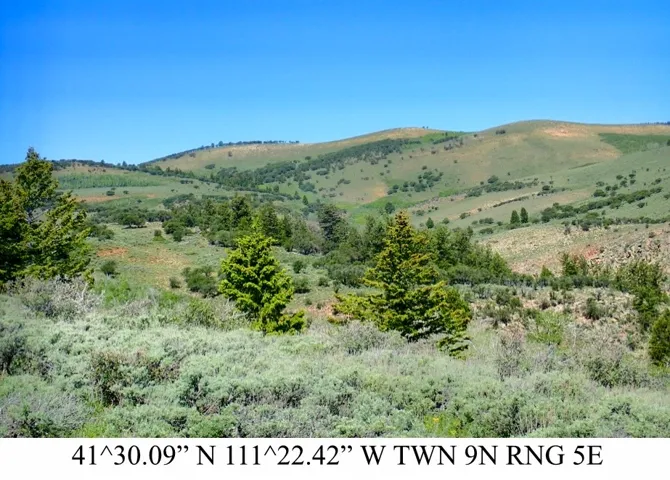 Expansive natural landscape with rolling hills, varied green foliage, and scattered evergreen trees