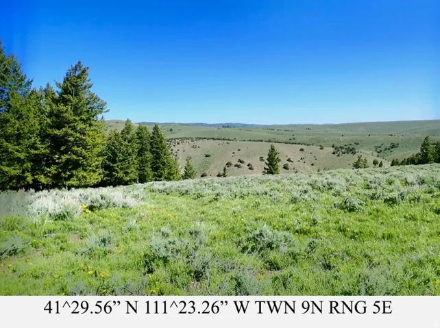 Expansive natural landscape with varied terrain, featuring scattered evergreen trees and a clear blue sky