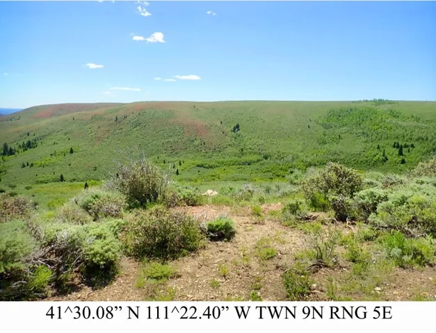 Expansive terrain featuring varied vegetation and distant hillsides