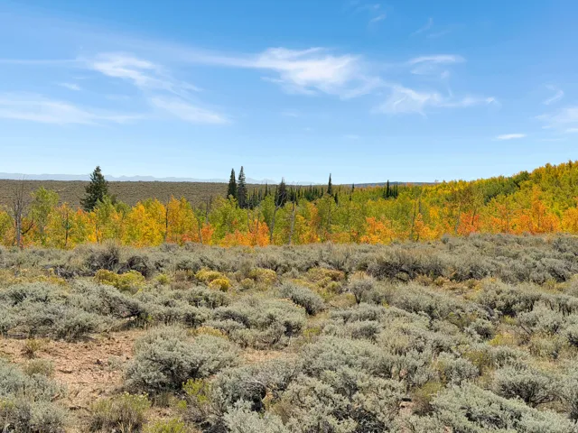 , Woodruff, Utah 84086
