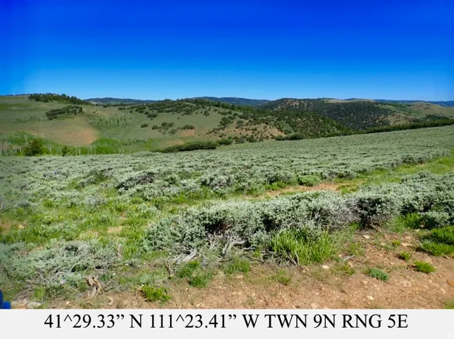 Expansive natural terrain featuring diverse vegetation and distant hills