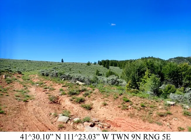 Expansive natural terrain featuring a dirt path, varied green vegetation, and distant tree lines