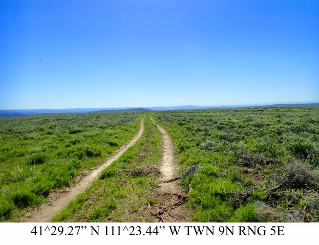 Expansive natural landscape featuring a dirt track and abundant green foliage under a clear sky