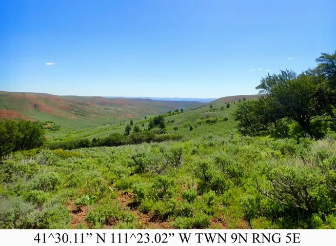 Expansive natural landscape featuring rolling hills, varied green vegetation, and distant red rock formations under a clear sky