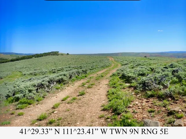 Expansive landscape featuring an unpaved road, green vegetation, and distant tree lines