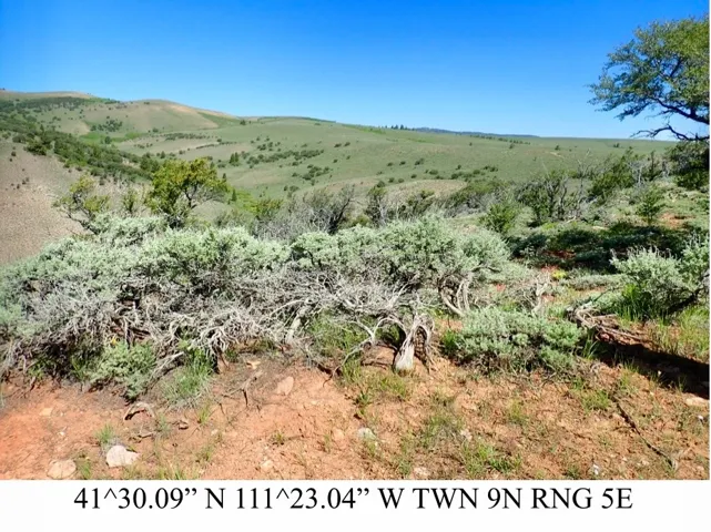 Expansive natural landscape with varied terrain