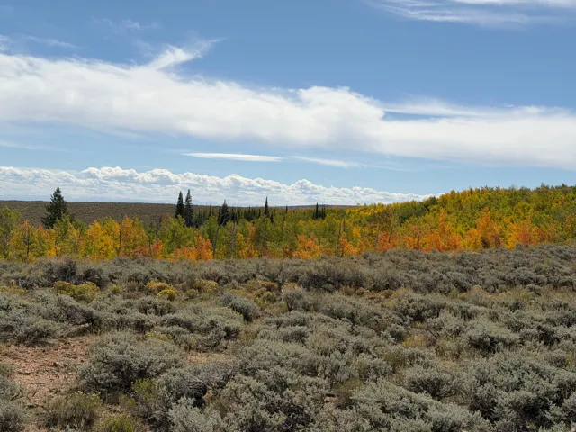 , Woodruff, Utah 84086