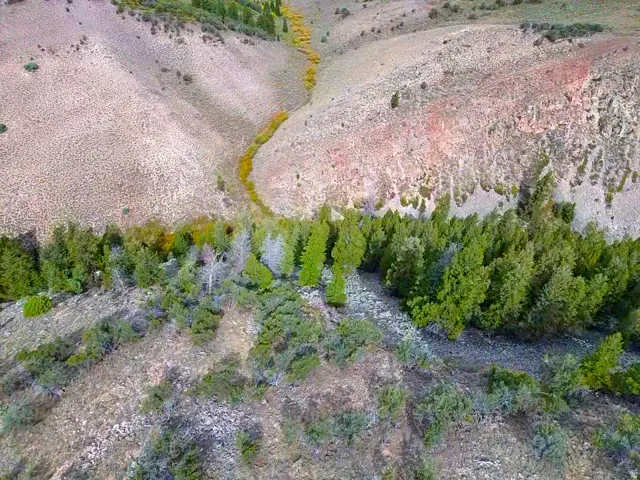 , Woodruff, Utah 84086