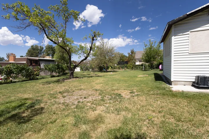 Expansive grassy yard with mature trees and a partial exterior of the home featuring white siding