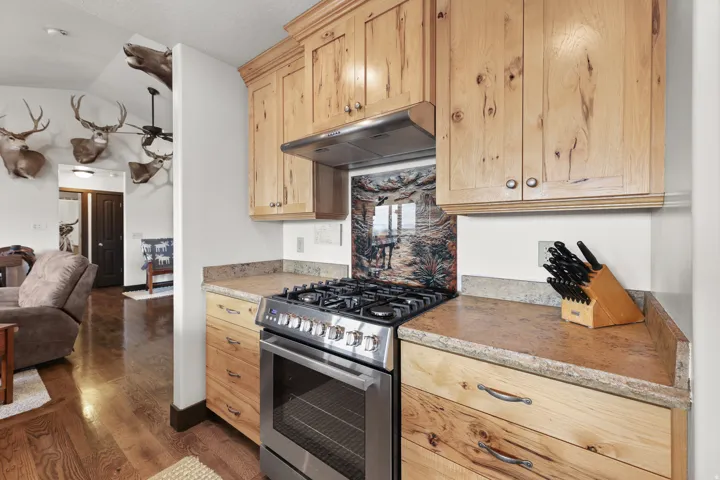 Stainless steel gas range with a coordinating range hood