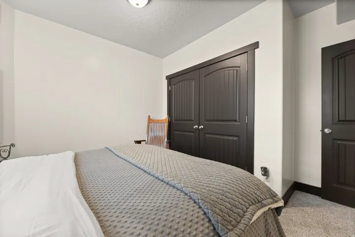 Dark wood-finish bi-fold closet doors, complementary dark wood-finish interior door, light neutral wall paint, and gray textured carpeting