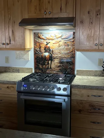 Stainless steel gas range with coordinating ventilation hood