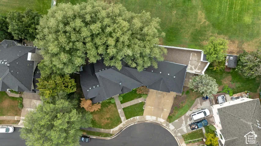 Property featuring a dark shingle roof, mature trees, concrete driveway, and a manicured lawn