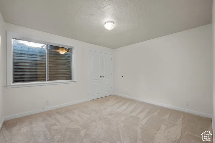 Neutral tone wall paint, plush carpet flooring, white trim window, white double bifold door, and a flush mount ceiling light