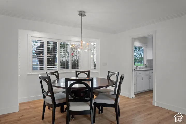 Spacious room with wood-finish flooring, white walls, and crown molding