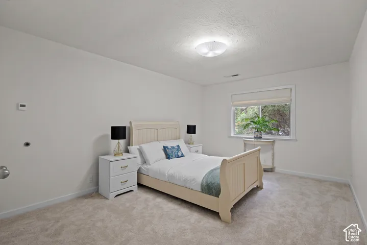 Wall-to-wall carpeting, single window with roller shade, and ceiling-mounted light fixture