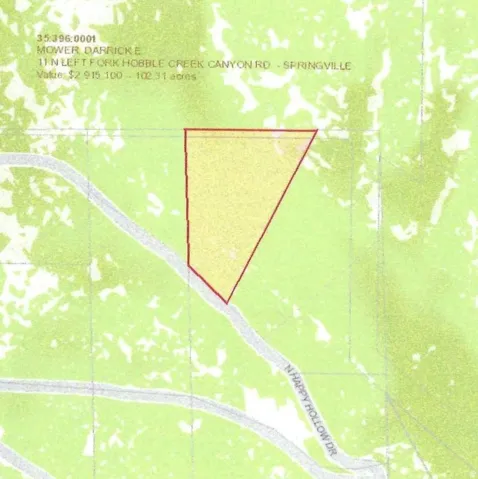 Assessor's Parcel Map. Displaying the property boundaries, parcel number, owner details, address, value, and acreage